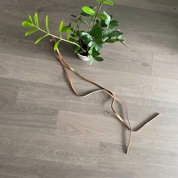 H&M Brown and Gold Thin Belts (Pack of 2) - Picture 1 of 7